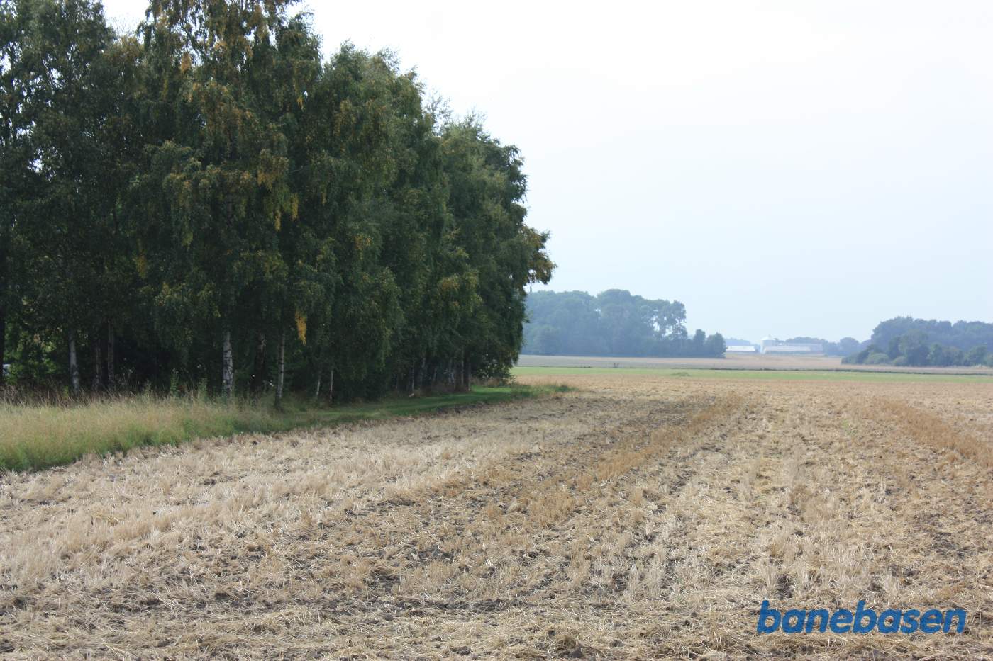 Banen kom ind i en stor bue fra højre. Pedersker station lå inde bag træerne til venstre. Vi kigger mod Rønne Banen kom ind i en stor bue fra højre. Pedersker station lå inde bag træerne til venstre. Vi kigger mod Rønne