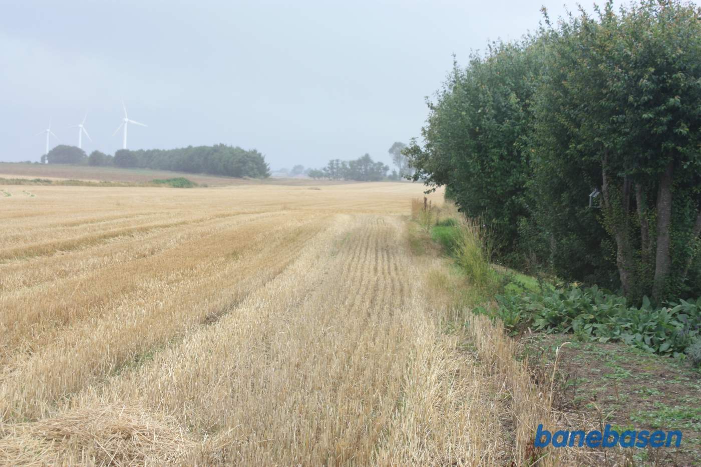 Banen løb til venstre for hækken og i en stor bue ud over marken og fortsatte der hvor trærækken midt i billedet begynder. De 3 vindmøller står på banens tracé. Vi kigger mod Rønne Banen løb til venstre for hækken og i en stor bue ud over marken og fortsatte der hvor trærækken midt i billedet begynder. De 3 vindmøller står på banens tracé. Vi kigger mod Rønne