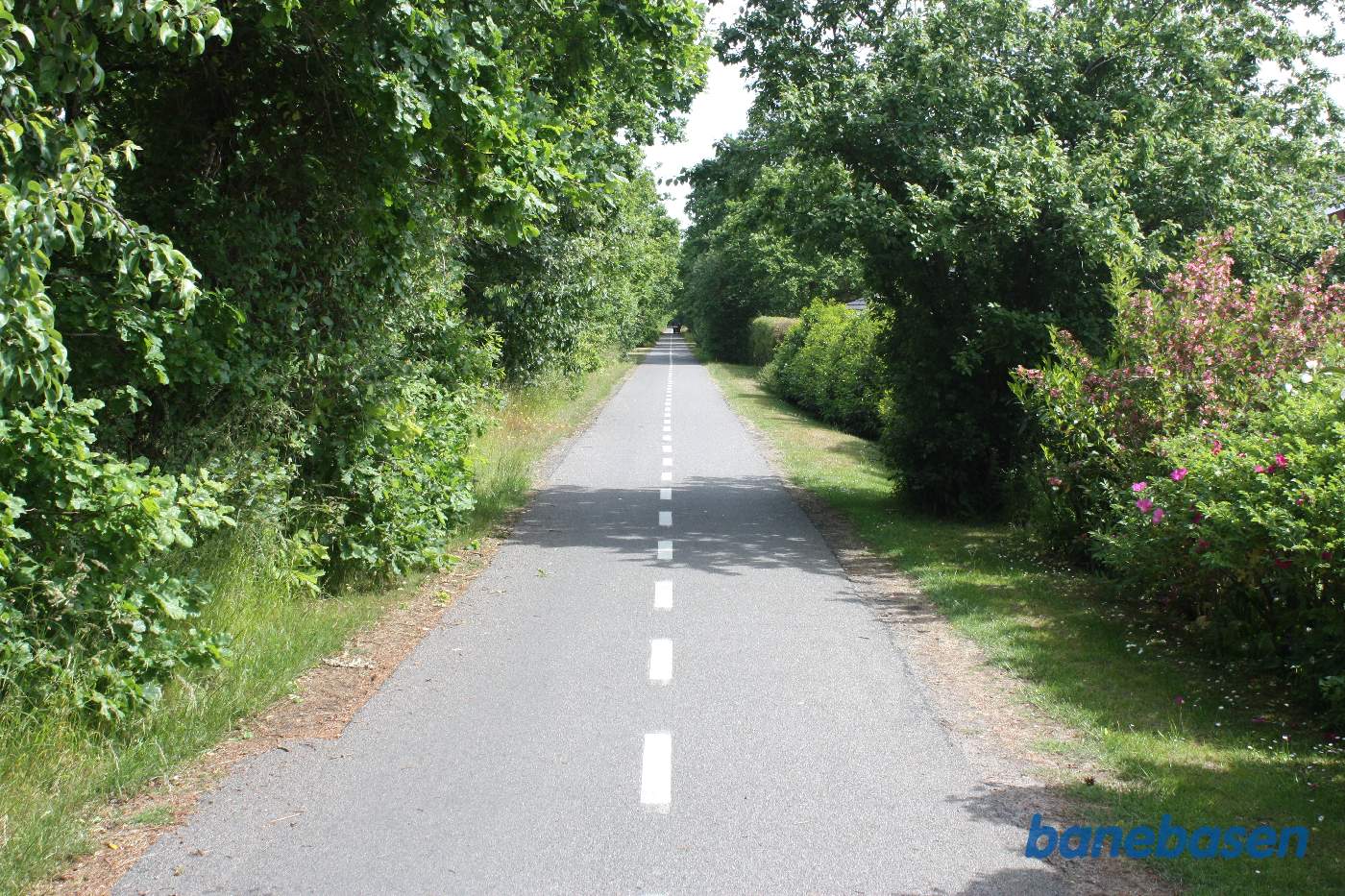 Vi er på Skansevej og kigger mod Nexø Vi er på Skansevej og kigger mod Nexø