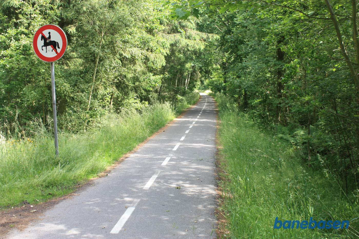 Stien gennem skoven set i retning mod Nexø Stien gennem skoven set i retning mod Nexø