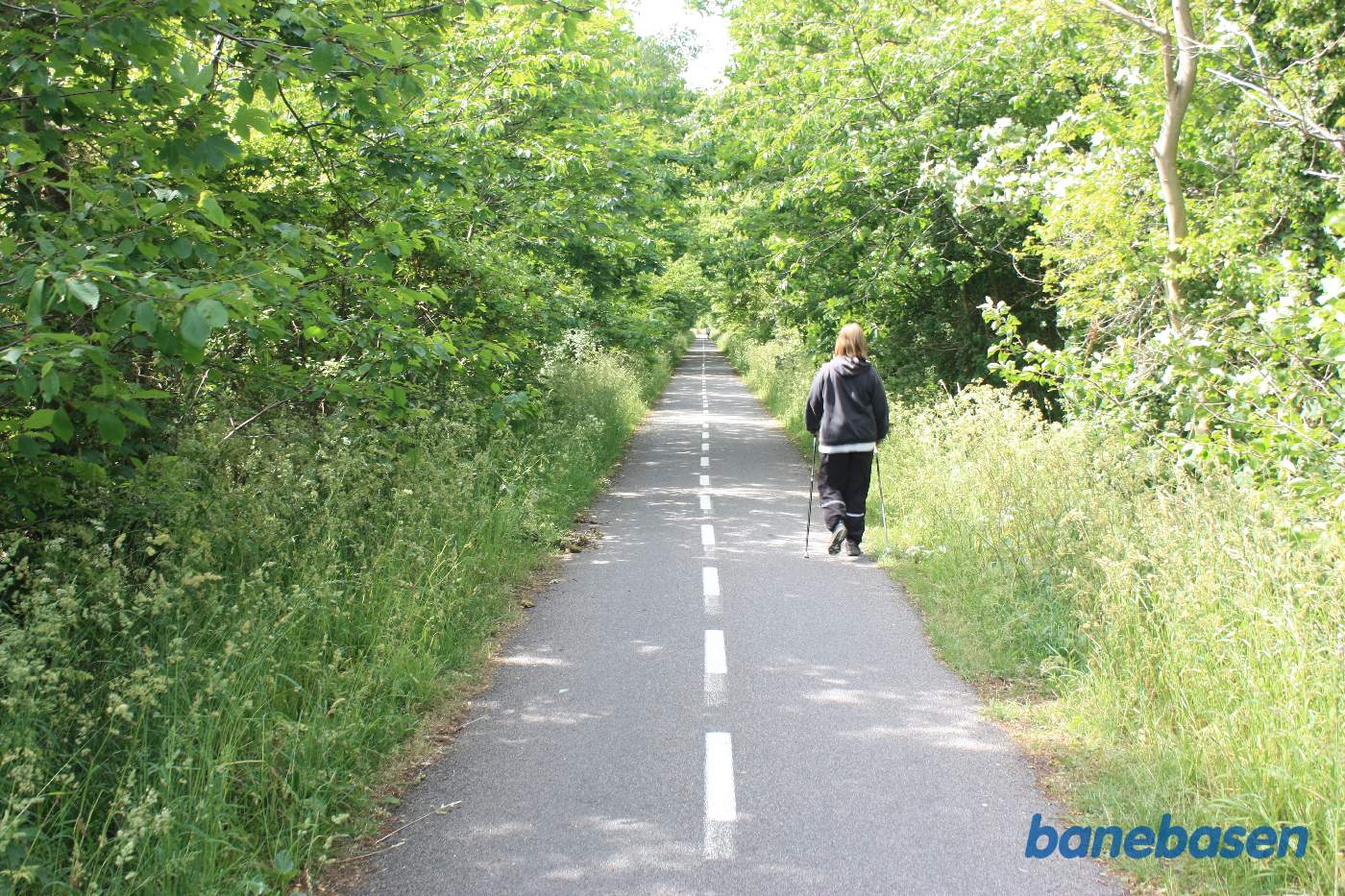 Stien gennem skoven set i retning mod Rønne Stien gennem skoven set i retning mod Rønne