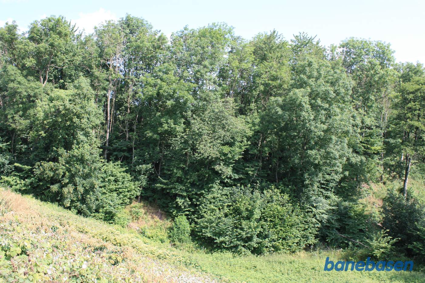 Nede i bunden løber Blykobbe Å og banen gik inde bag træerne på en høj banedæmning Nede i bunden løber Blykobbe Å og banen gik inde bag træerne på en høj banedæmning