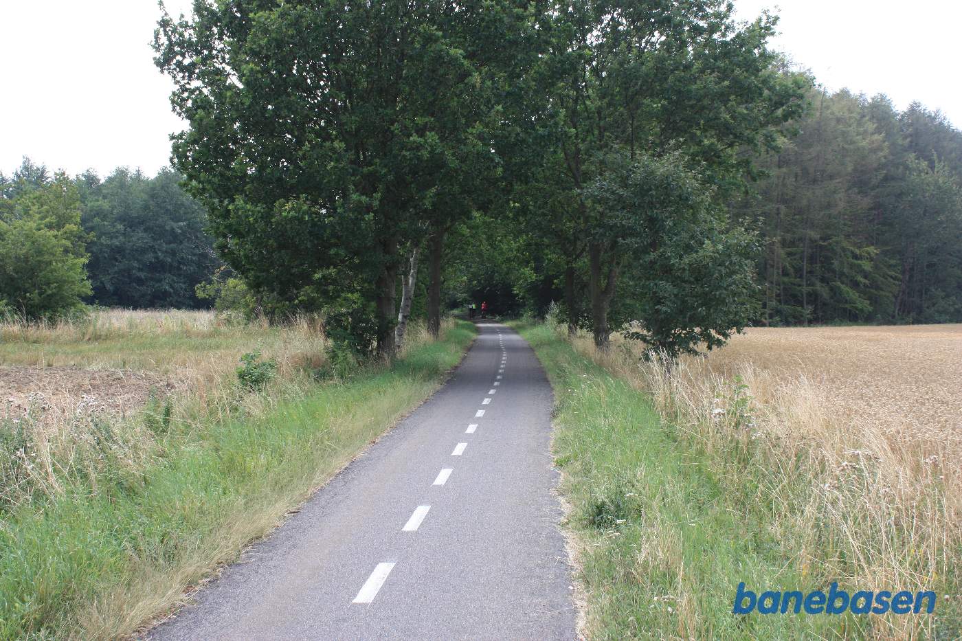 Vi er kommet ud af skoven lige efter Blykobbe og kigger i retning mod Rønne Vi er kommet ud af skoven lige efter Blykobbe og kigger i retning mod Rønne
