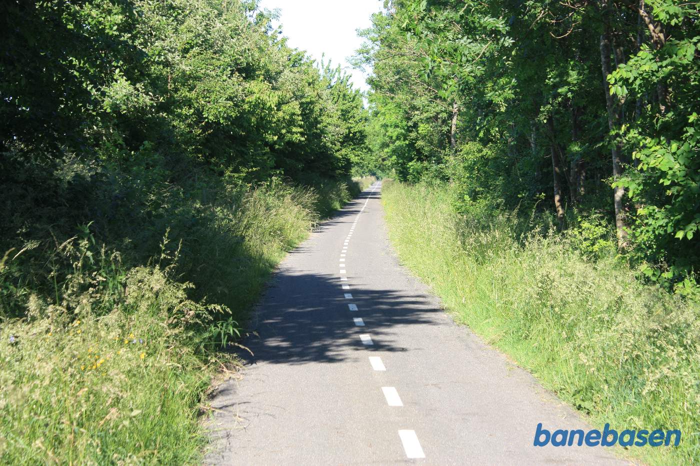 Vi står på Gyngeherred hvor banen er gravet lidt ned i forhold markerne og kigger mod Sandvig