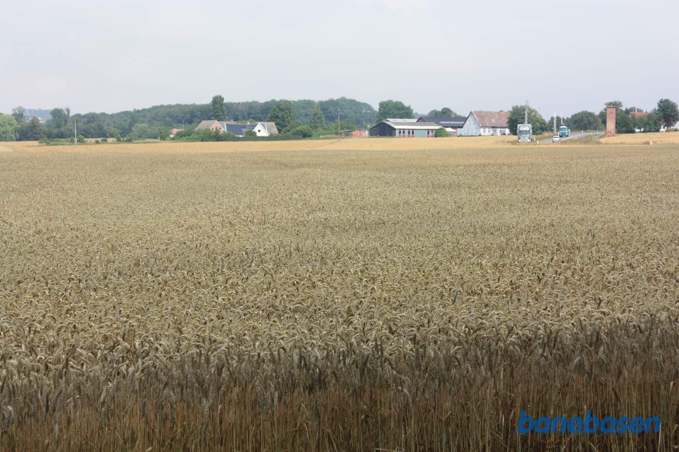 Vi står på alléen op til gården og kigger mod Sandvig. Banen løb i en ret linje midt op gennem billedet mod det lille røde skur