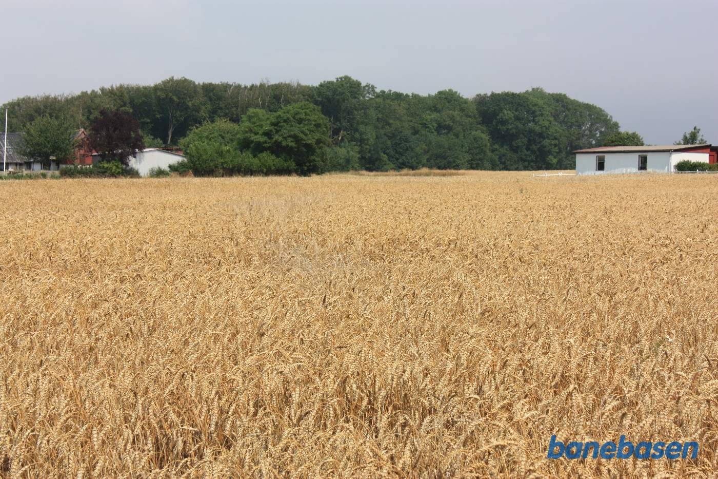 Vi står på marken lige bag mejeriet og kigger i retning mod Sandvig. Banen gik i en lige linje midt i billedet over mod skoven Vi står på marken lige bag mejeriet og kigger i retning mod Sandvig. Banen gik i en lige linje midt i billedet over mod skoven