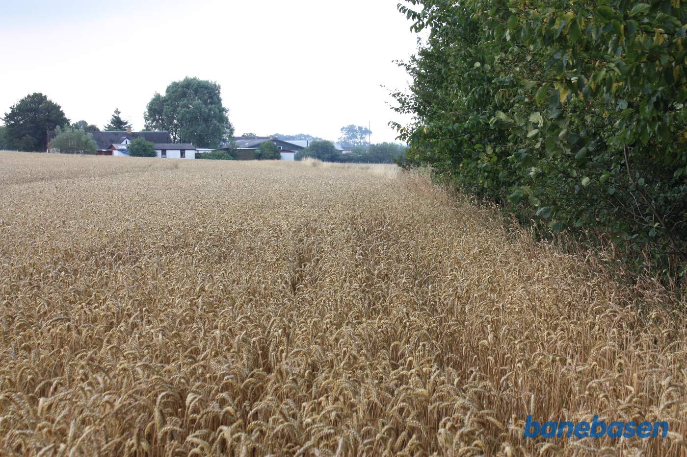 Vi står på marken og kigger i retning mod Rønne. Banen gik i en lige linje langs skovkanten. Den høje mast i Nyker står lidt til venstre for banens retning Vi står på marken og kigger i retning mod Rønne. Banen gik i en lige linje langs skovkanten. Den høje mast i Nyker står lidt til venstre for banens retning