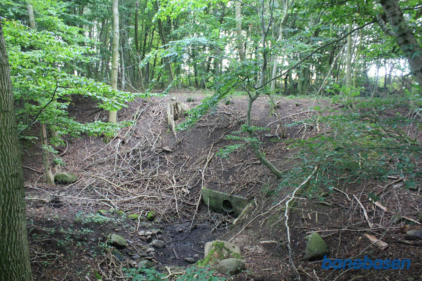 Inde i skoven finder vi banedæmningen over Bagge Å Inde i skoven finder vi banedæmningen over Bagge Å