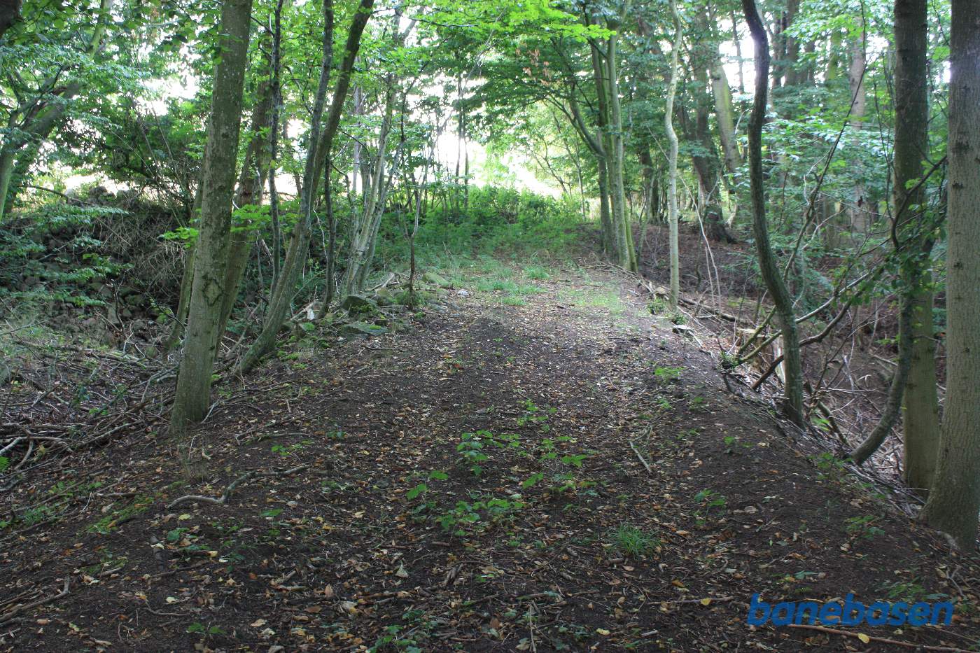 Inde i skoven finder vi banedæmningen over Bagge Å, her set i retning mod Rønne Inde i skoven finder vi banedæmningen over Bagge Å, her set i retning mod Rønne