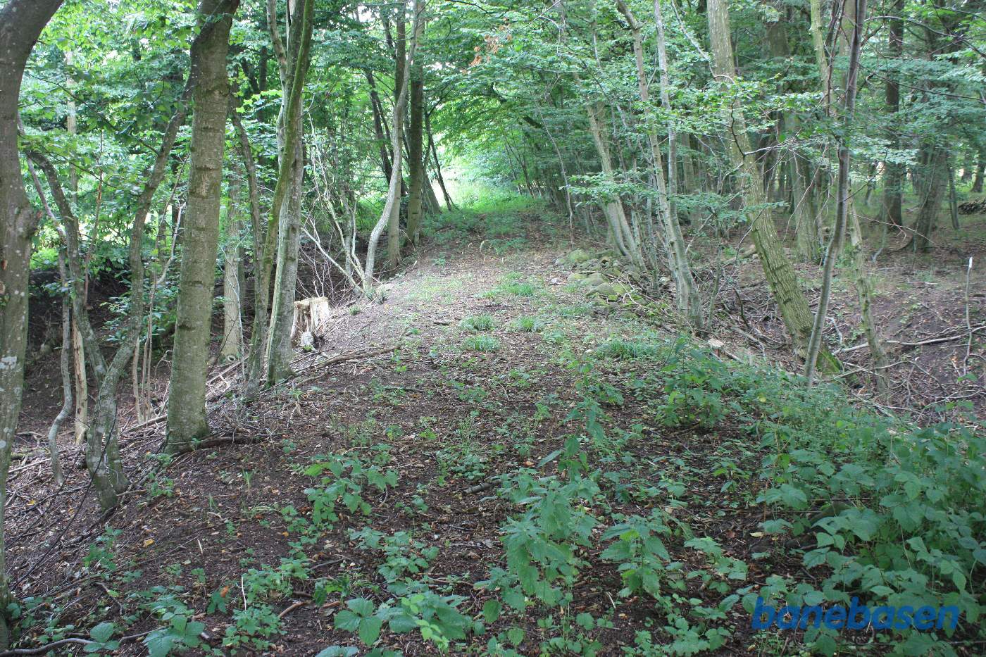 Inde i skoven finder vi banedæmningen over Bagge Å, her set i retning mod Sandvig Inde i skoven finder vi banedæmningen over Bagge Å, her set i retning mod Sandvig