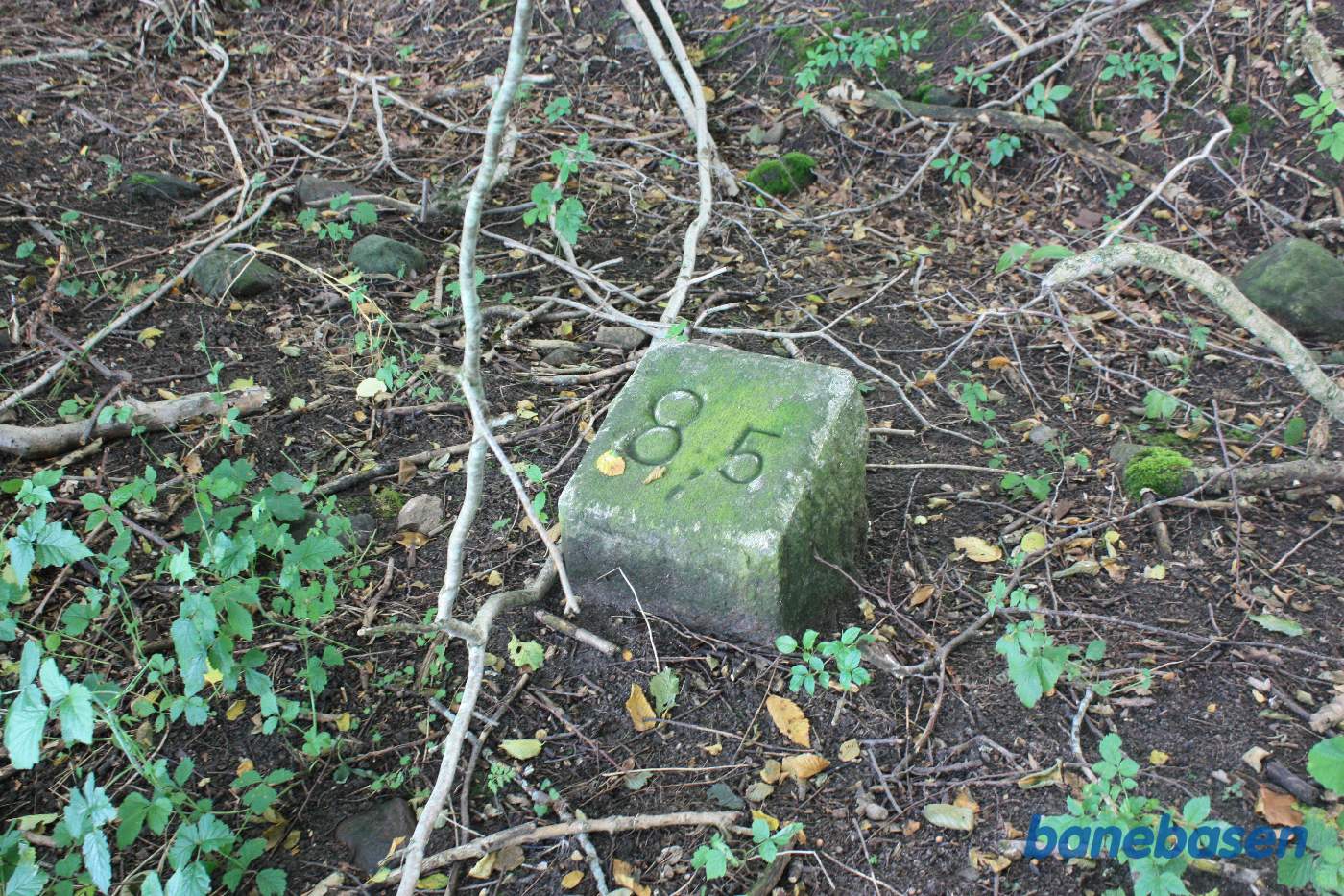 Inde i skoven finder vi banedæmningen over Bagge Å, hvor en kilometersten fortsat ligger Inde i skoven finder vi banedæmningen over Bagge Å, hvor en kilometersten fortsat ligger