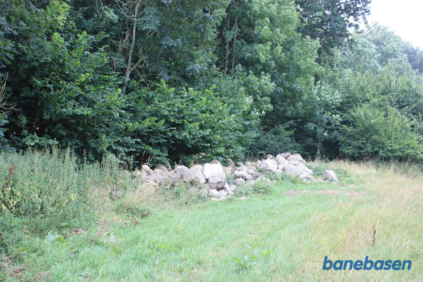 Vi kommer lige ud af skove ved de mange sten og kigger mod Rønne