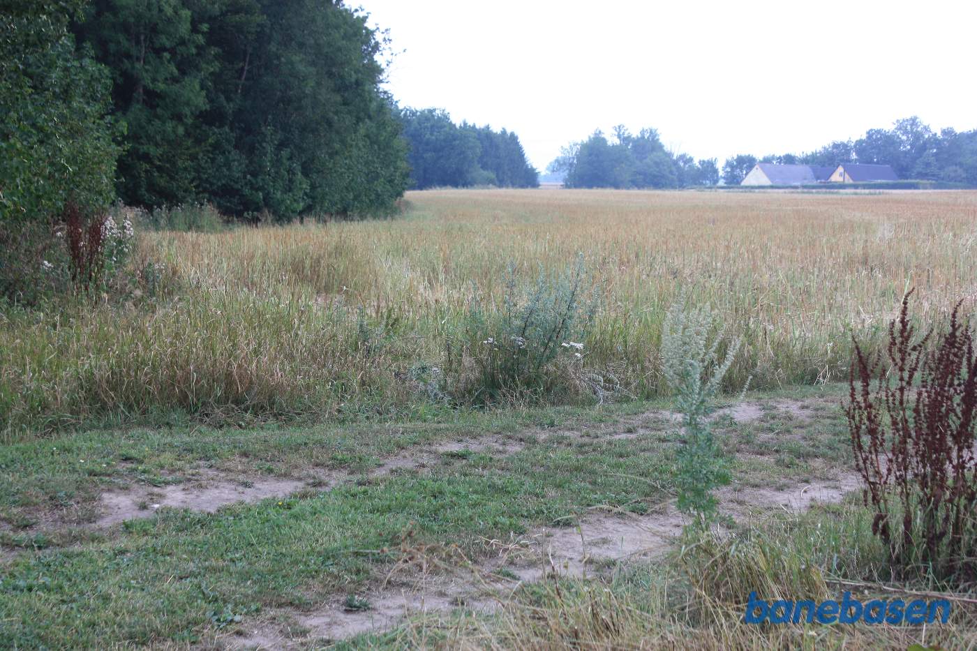 Vi er på en lille markvej og kigger langs skovkanten, hvor banen gik i retning mod Sandvig Vi er på en lille markvej og kigger langs skovkanten, hvor banen gik i retning mod Sandvig