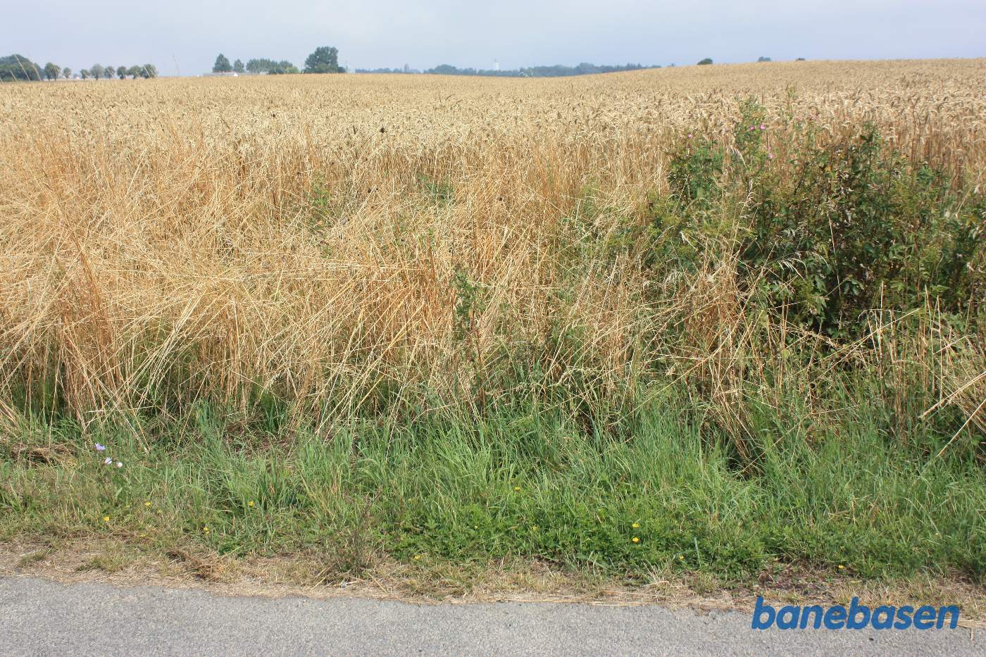 Vi er på Tombyvej og kigger i retning mod Sandvig. Banen løb ud over marken midt i billedet. Man fornemmer en svag lavning midt i billedet, hvor banen gik Vi er på Tombyvej og kigger i retning mod Sandvig. Banen løb ud over marken midt i billedet. Man fornemmer en svag lavning midt i billedet, hvor banen gik