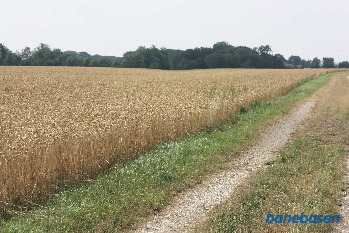 Vi er på Kyndegårdsvej og kigger mod Rønne. Lunken i marken indikerer hvor banen gik Vi er på Kyndegårdsvej og kigger mod Rønne. Lunken i marken indikerer hvor banen gik