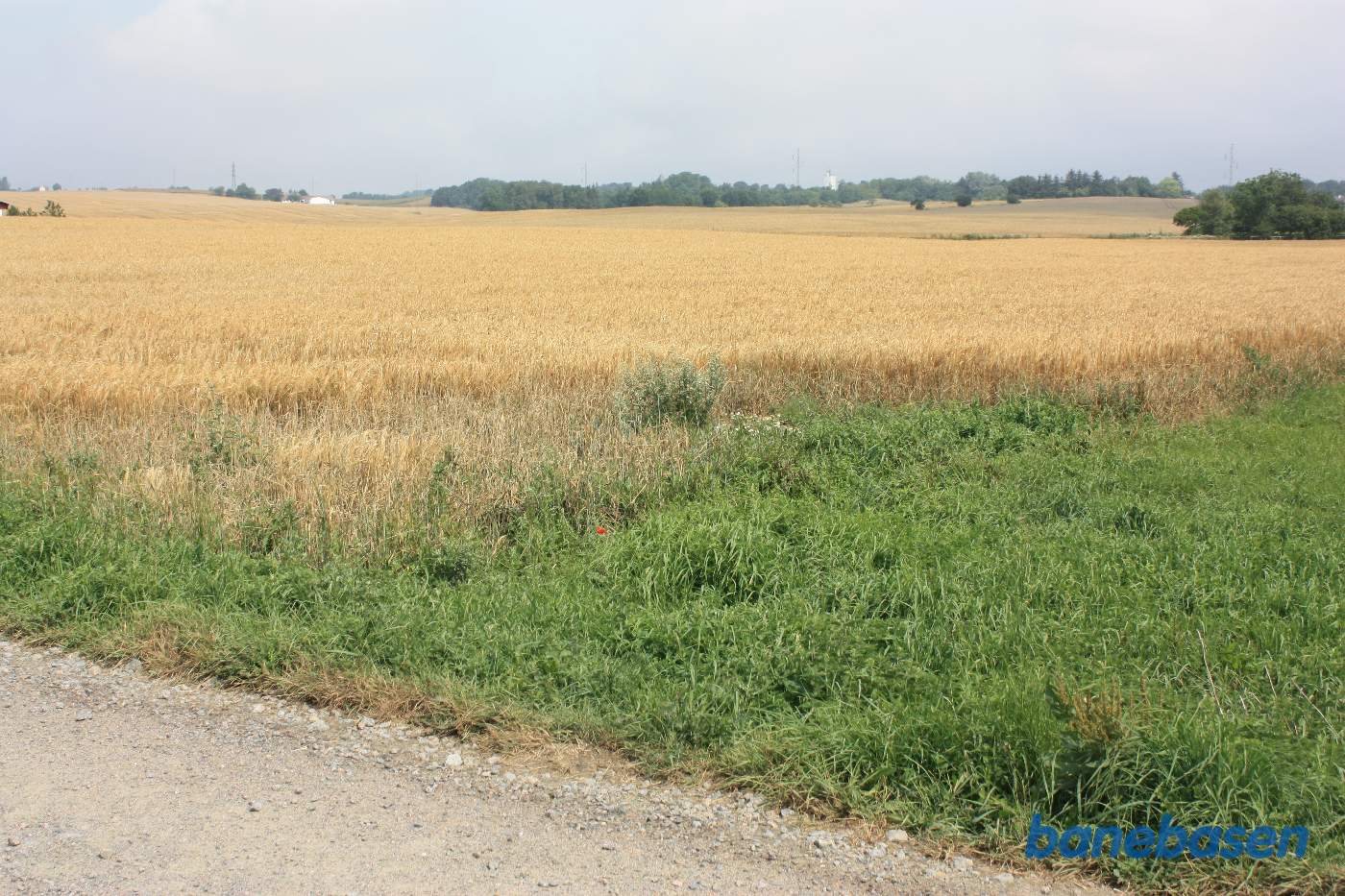 Vi er på Ladegårdsvej og kigger mod Sandvig. Banen slog her en stor blød bue mod højre Vi er på Ladegårdsvej og kigger mod Sandvig. Banen slog her en stor blød bue mod højre