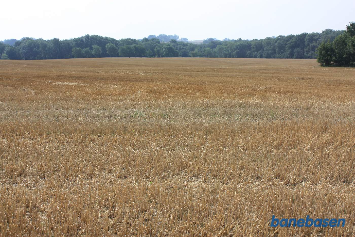 Vi står på marken på banetracéen og kigger mod Rønne. Banen gik på en høj banedæmning i en blød bue over marken til venstre for træerne til højre Vi står på marken på banetracéen og kigger mod Rønne. Banen gik på en høj banedæmning i en blød bue over marken til venstre for træerne til højre