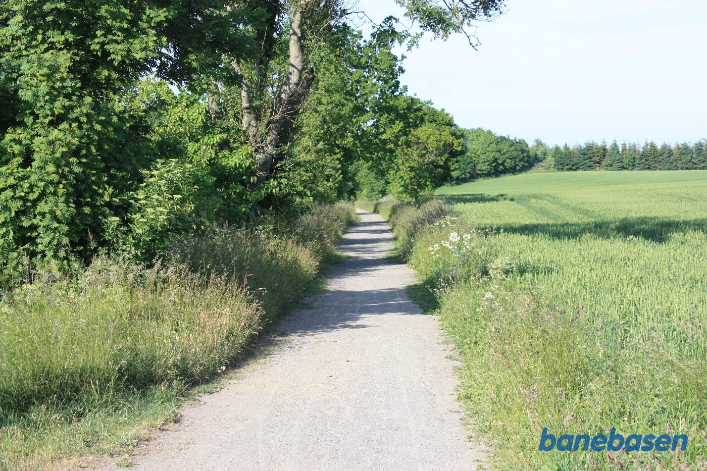 Vi er på banestien og kigger mod Sandvig