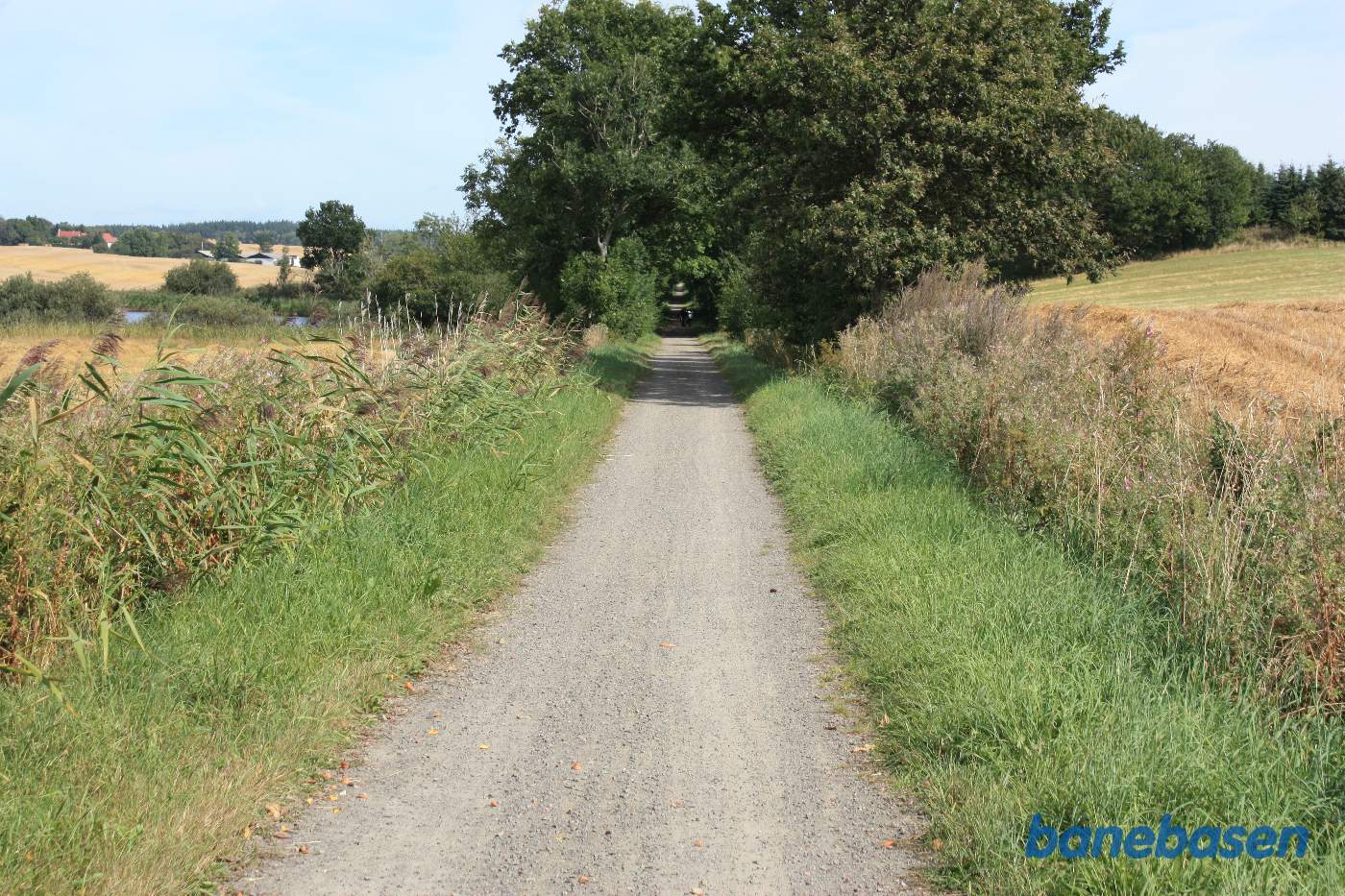 Vi er på banestien og kigger mod Sandvig, den første af søerne til venstre