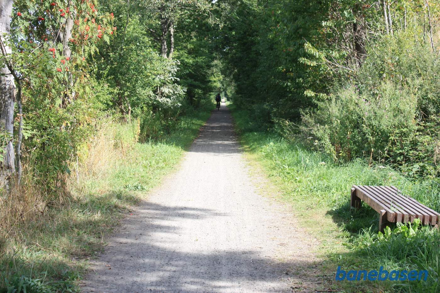 Vi er på banestien og kigger mod Sandvig. Hvilebænk til højre. Formentlig har der været fint udsyn over søen til venstre, inden træerne voksede op Vi er på banestien og kigger mod Sandvig. Hvilebænk til højre. Formentlig har der været fint udsyn over søen til venstre, inden træerne voksede op