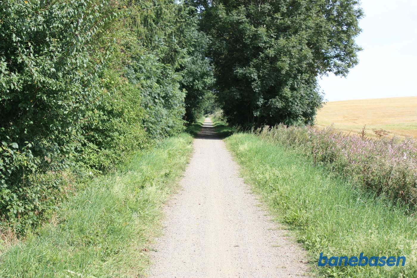 Vi er på banestien og kigger mod Sandvig