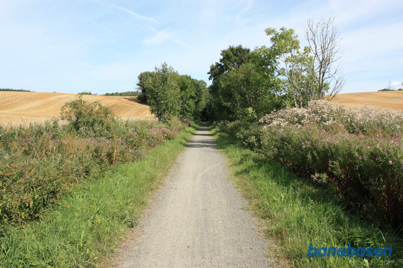 Vi er på banestien og kigger mod Sandvig