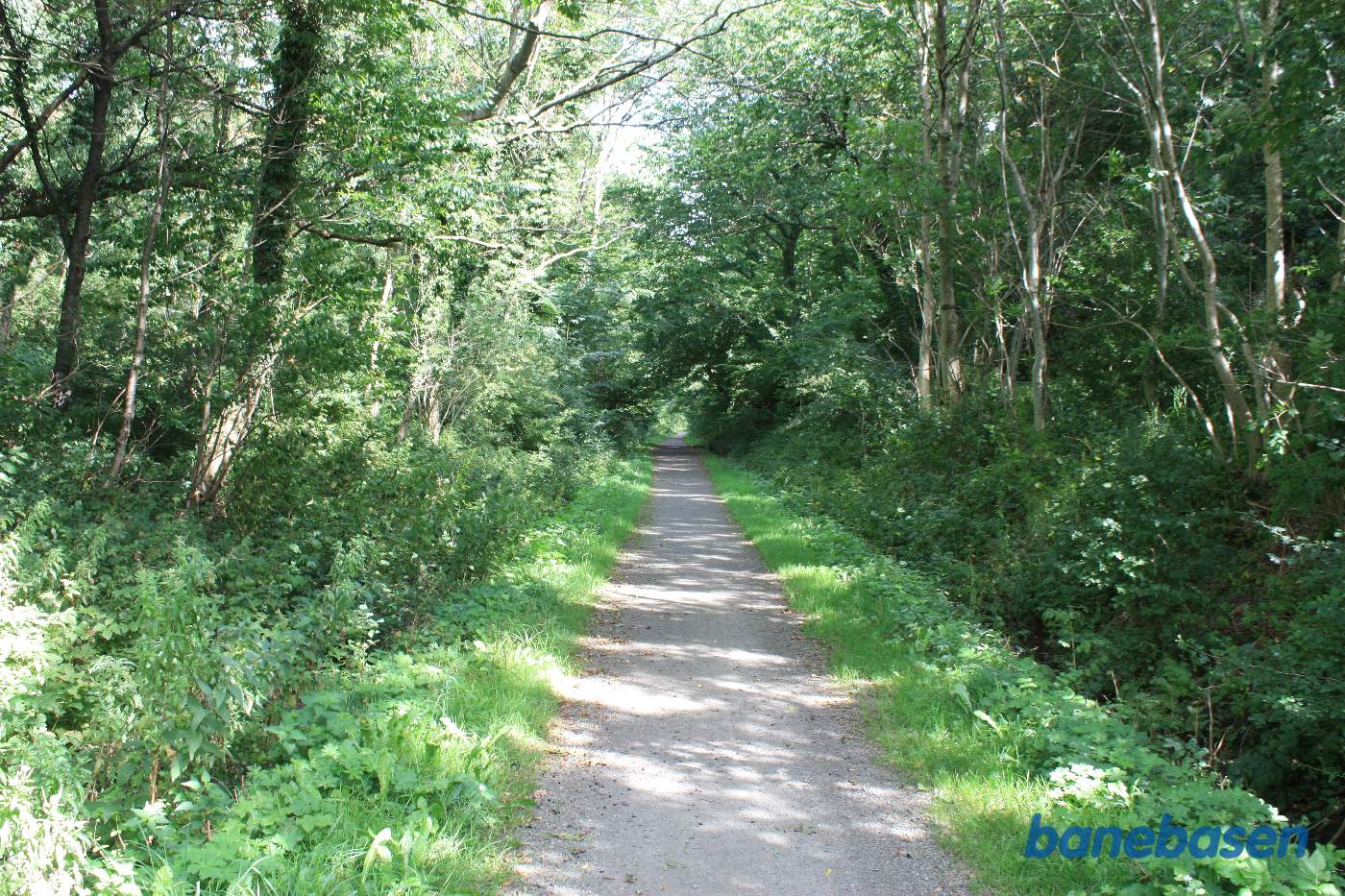 Vi er på banestien på vej ind i kløften "Kleven" og kigger mod Sandvig