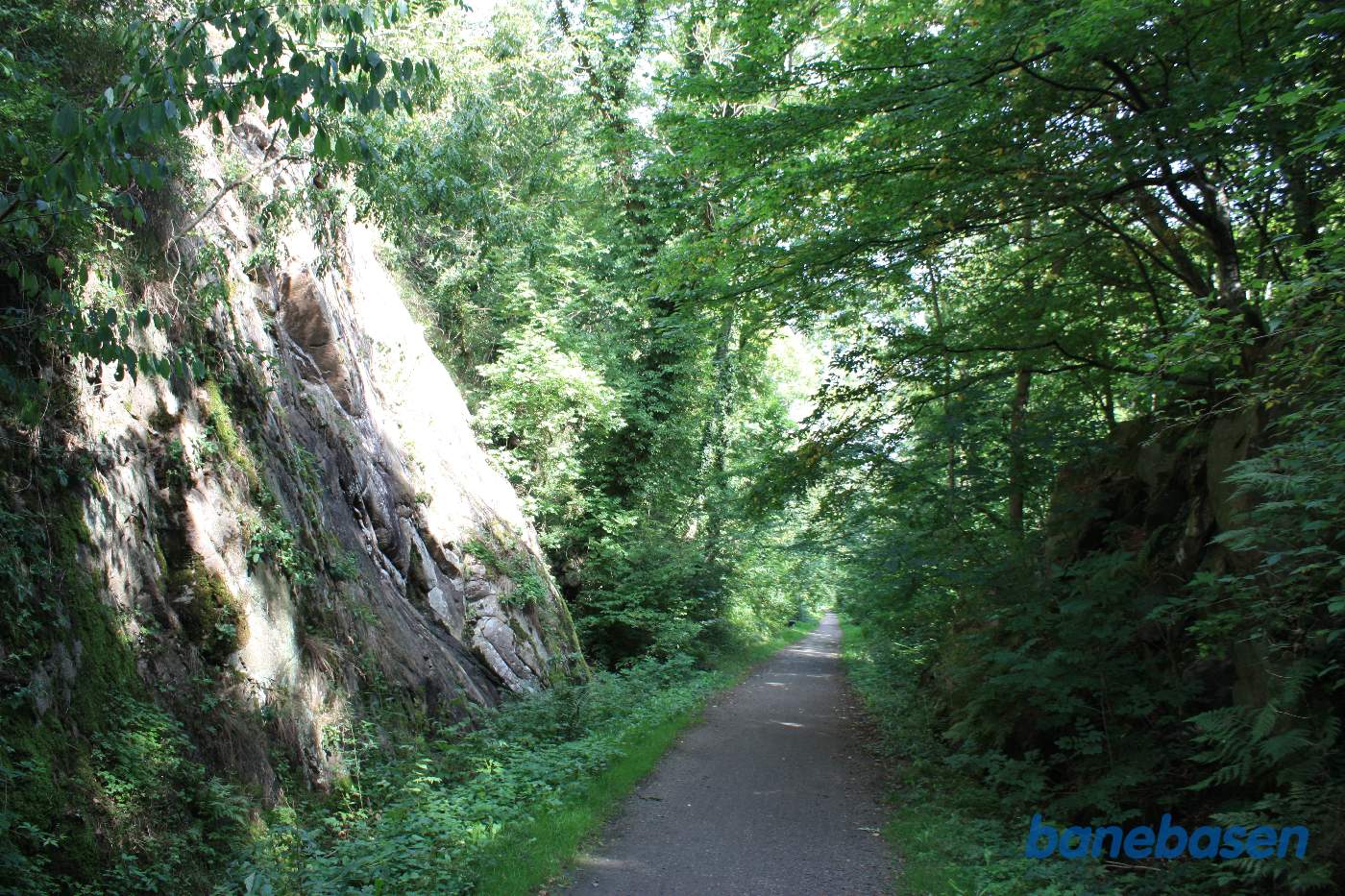 Vi er på banestien i kløften "Kleven" og kigger mod Sandvig Vi er på banestien i kløften "Kleven" og kigger mod Sandvig