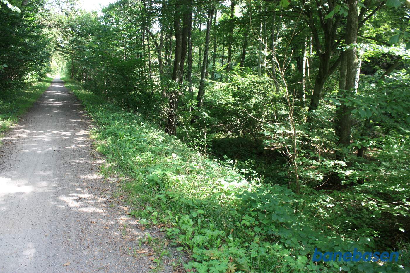 Vi er på banestien i kløften "Kleven" og kigger mod Sandvig Vi er på banestien i kløften "Kleven" og kigger mod Sandvig