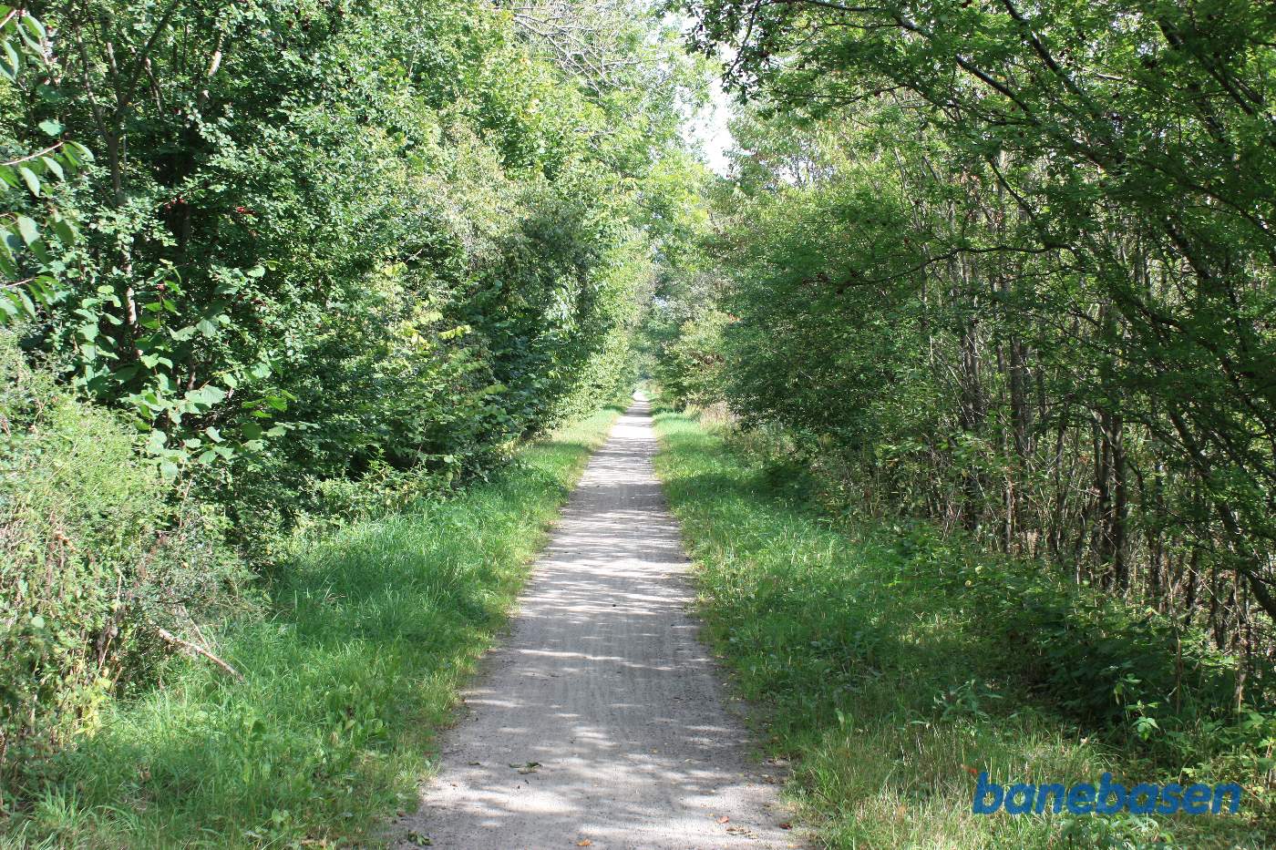 Vi er på banestien i kløften "Kleven" og kigger mod Sandvig