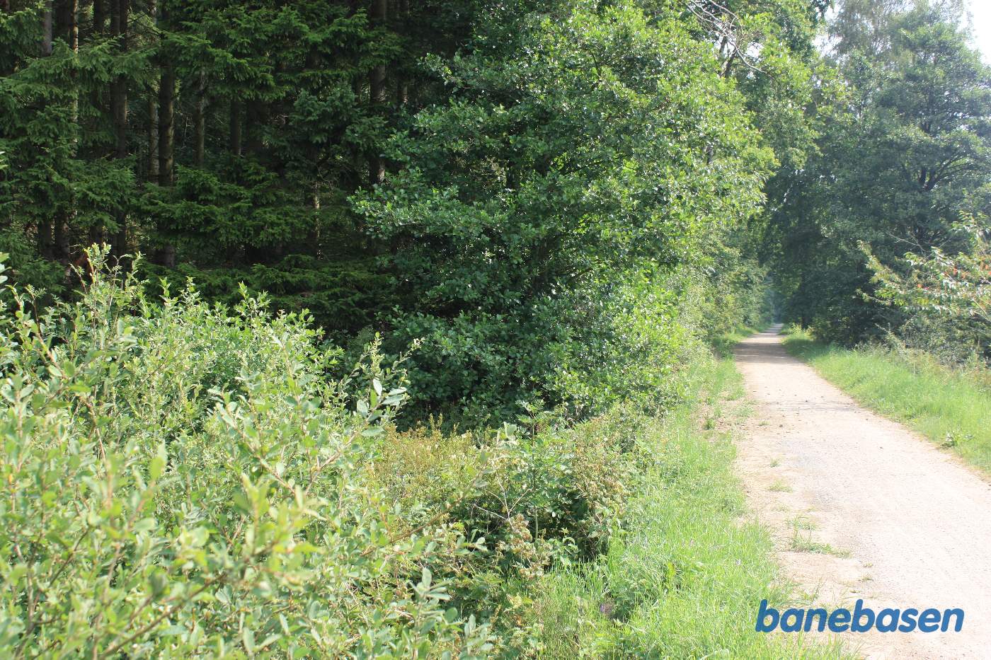 Vi er på banestien i kløften "Kleven" og kigger mod Sandvig