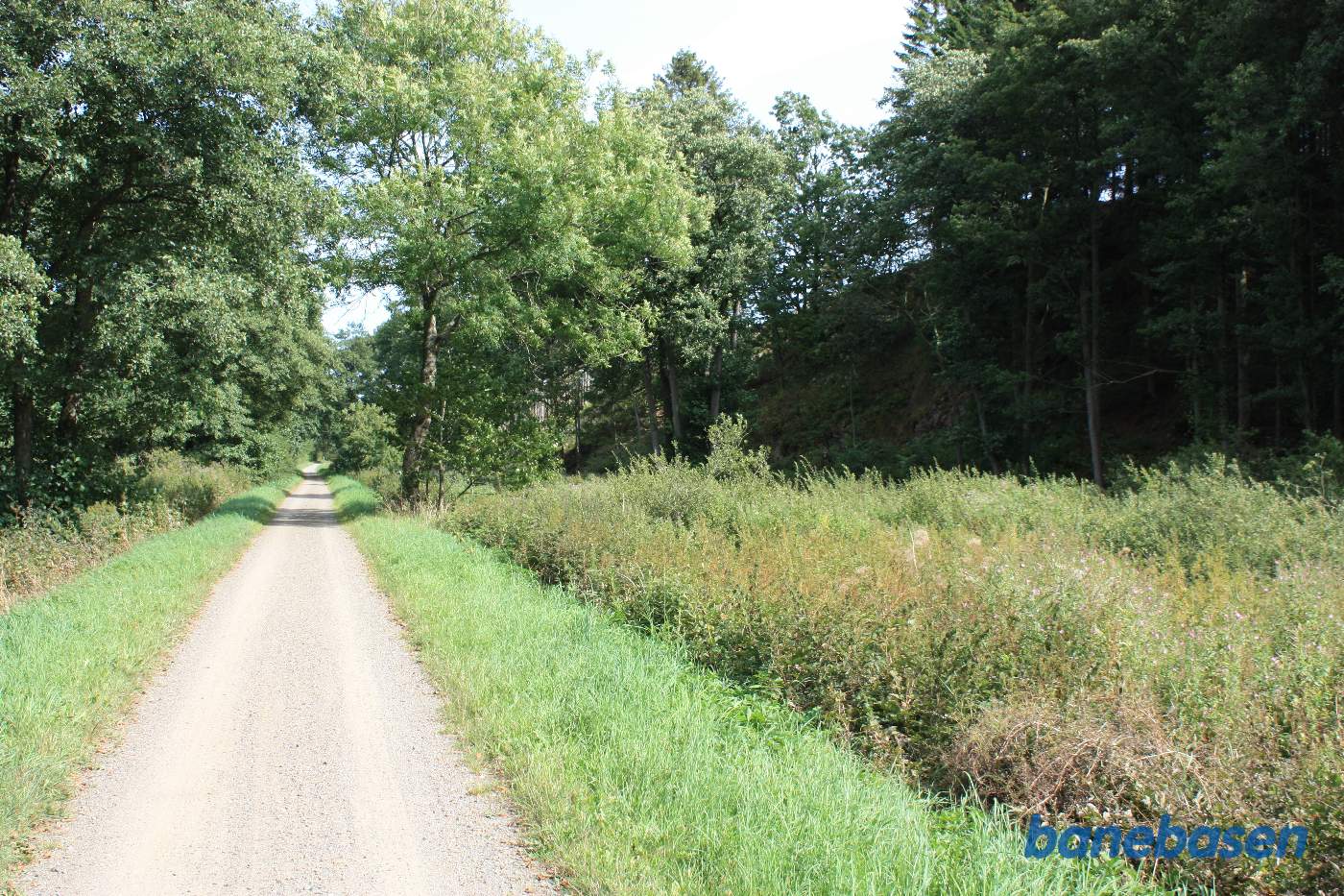 Vi er på banestien i kløften "Kleven" og kigger mod Sandvig Vi er på banestien i kløften "Kleven" og kigger mod Sandvig