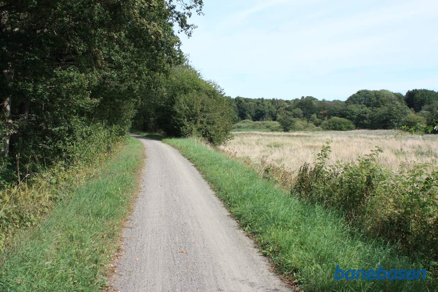 Vi er på banestien og kigger mod Sandvig, mose til højre