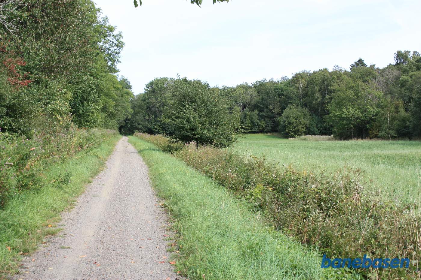 Vi er på banestien i retning mod Sandvig. Golfbanen inde til venstre bag træerne Vi er på banestien i retning mod Sandvig. Golfbanen inde til venstre bag træerne