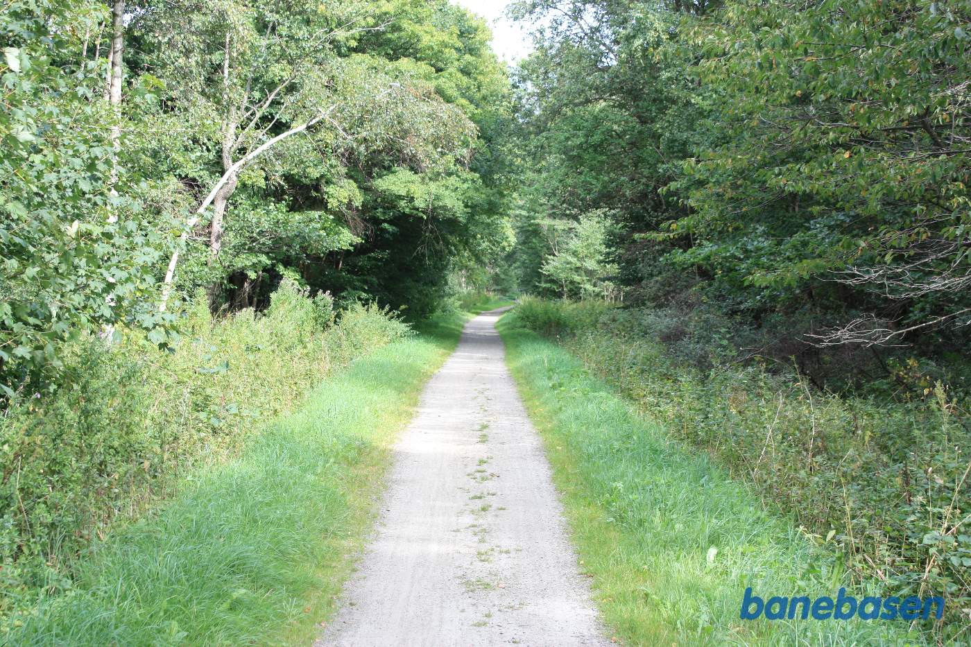 Vi er på banestien i retning mod Sandvig. Golfbanen inde til venstre bag træerne Vi er på banestien i retning mod Sandvig. Golfbanen inde til venstre bag træerne