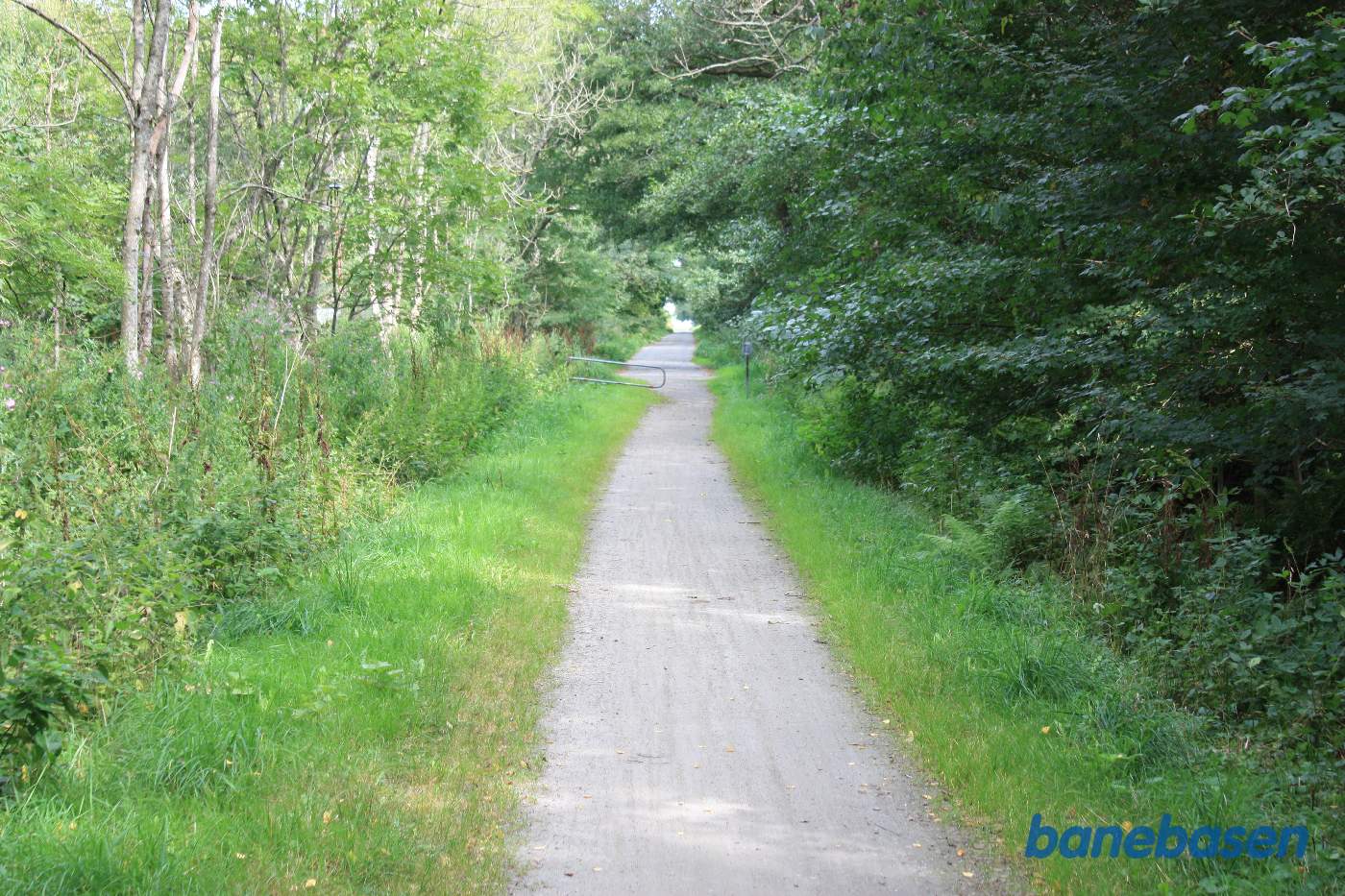 Vi er på banestien i retning mod Sandvig. Golfbanen inde til venstre bag træerne og tilkørselsvejen er den gamle banetracé der ses lige fremme
