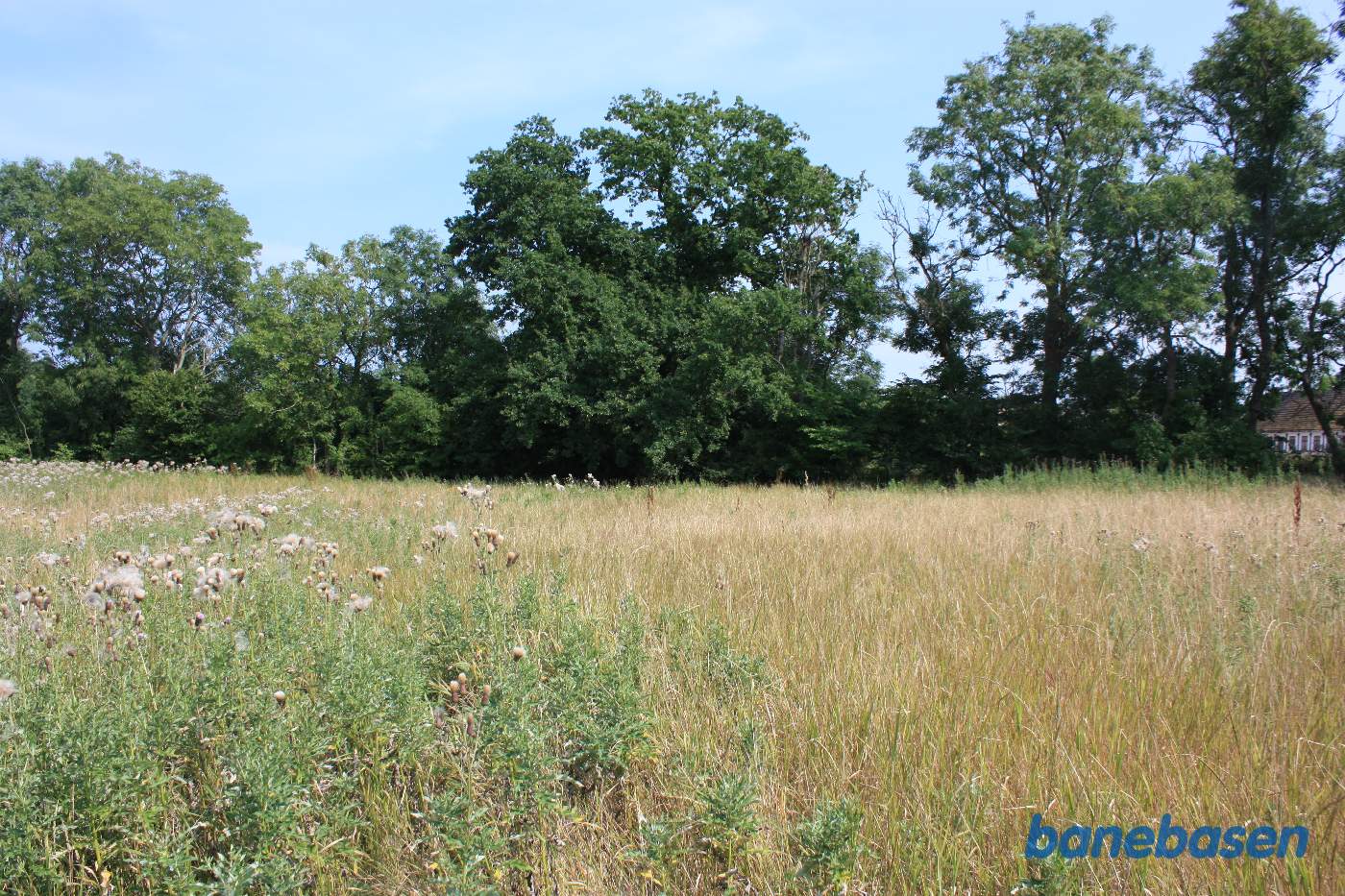 Banen gik bagom gården der ses inde til højre og vi kigger i retning mod Rønne