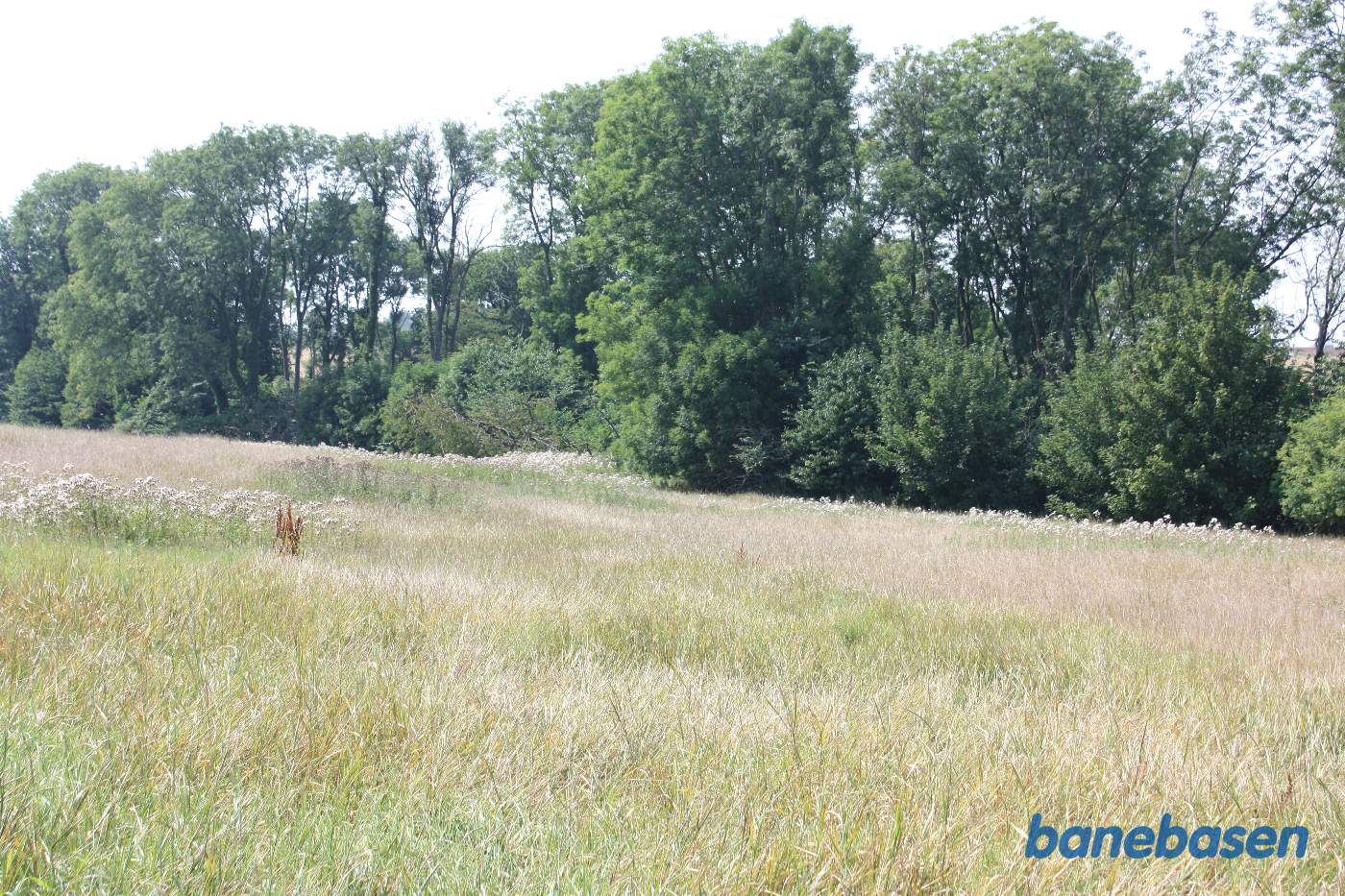 Banen gik over marken og ind i skoven lige midt i billedet vi ser mod Sandvig