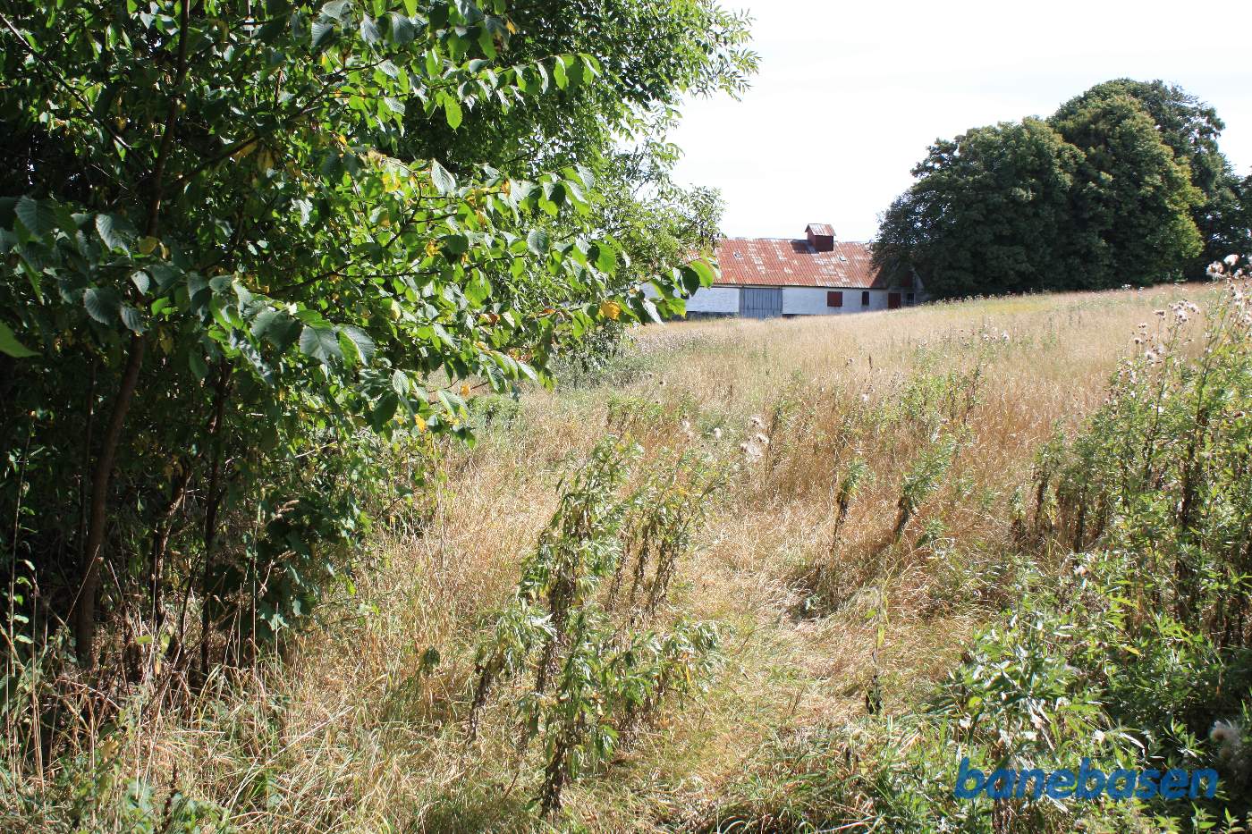 Banen kom ud af skoven her, og gik venstre om gården. Vi ser mod Rønne Banen kom ud af skoven her, og gik venstre om gården. Vi ser mod Rønne