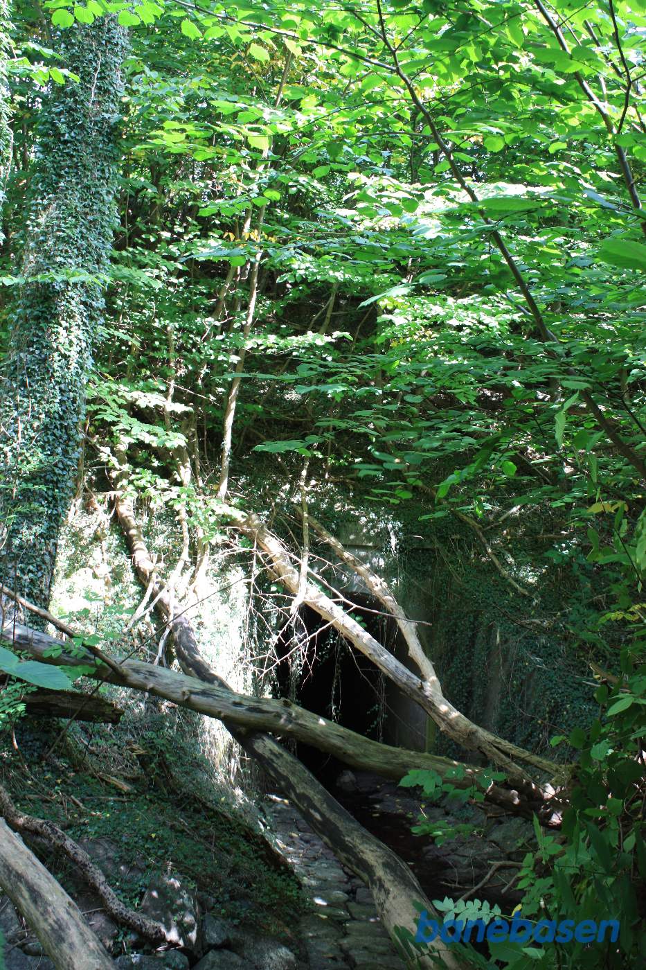 Lykken er når man finder jernbanetracéen med åen, der gik under banen Lykken er når man finder jernbanetracéen med åen, der gik under banen