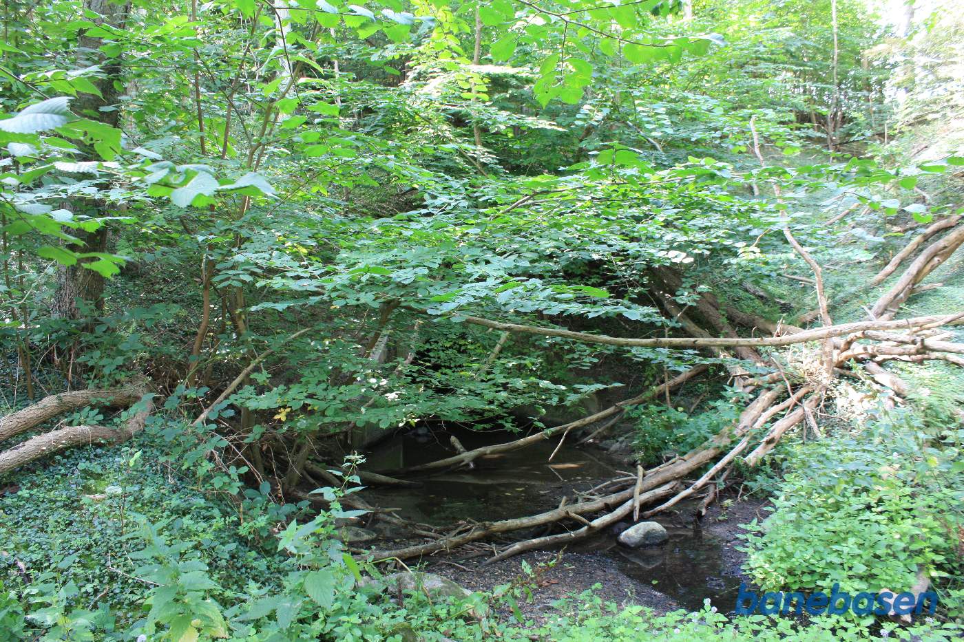 Her er den anden side af åløbet under banens tracé Her er den anden side af åløbet under banens tracé