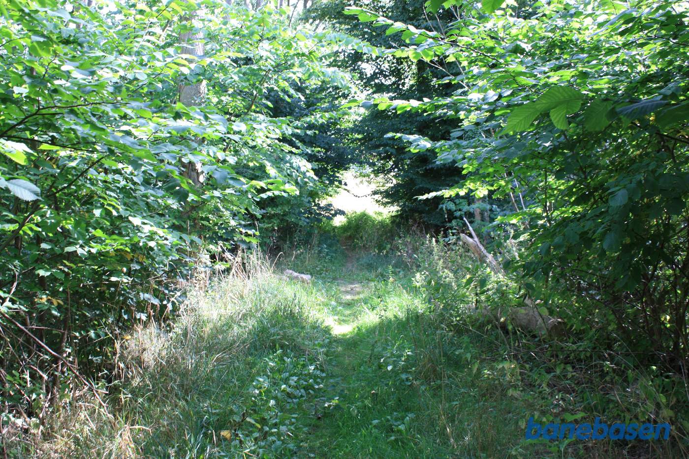 Vi står lige over åen og kigger i mod Rønne Vi står lige over åen og kigger i mod Rønne