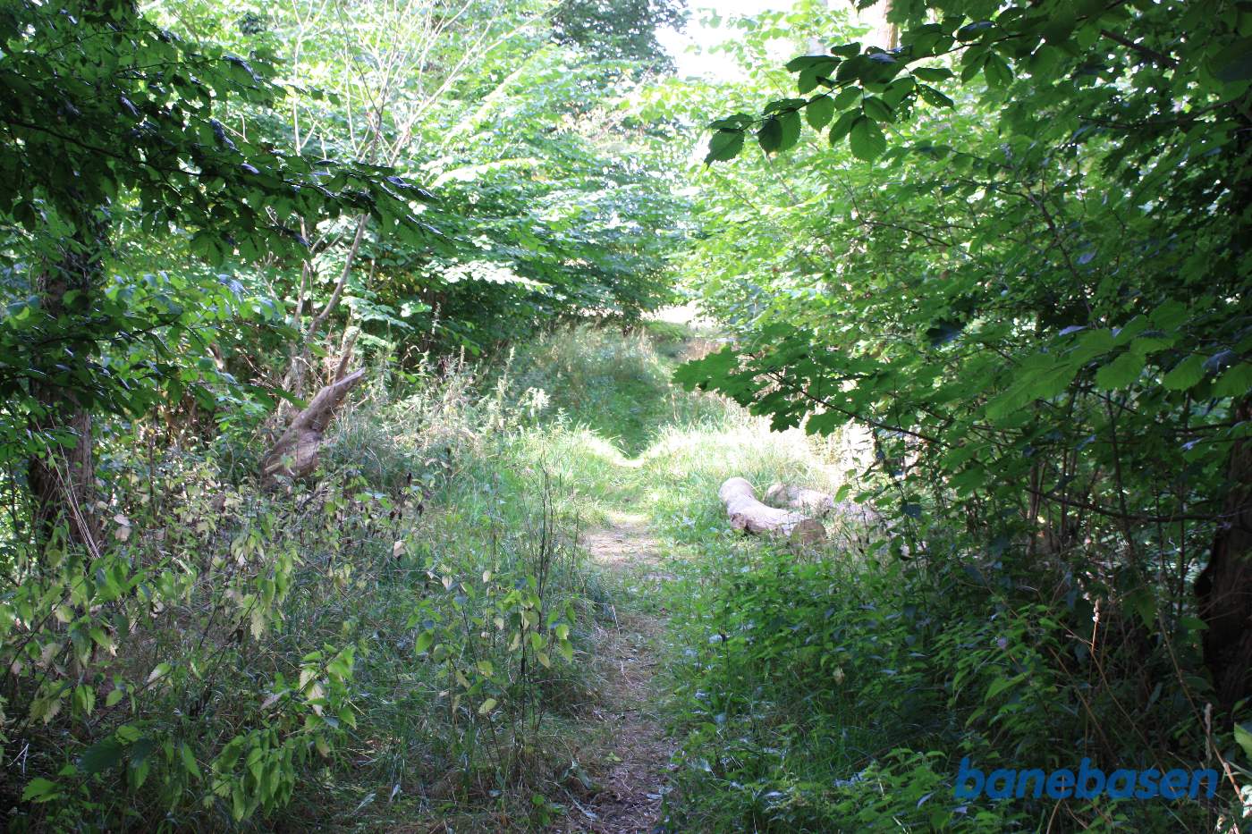 Vi står lige over åen og kigger i mod Sandvig