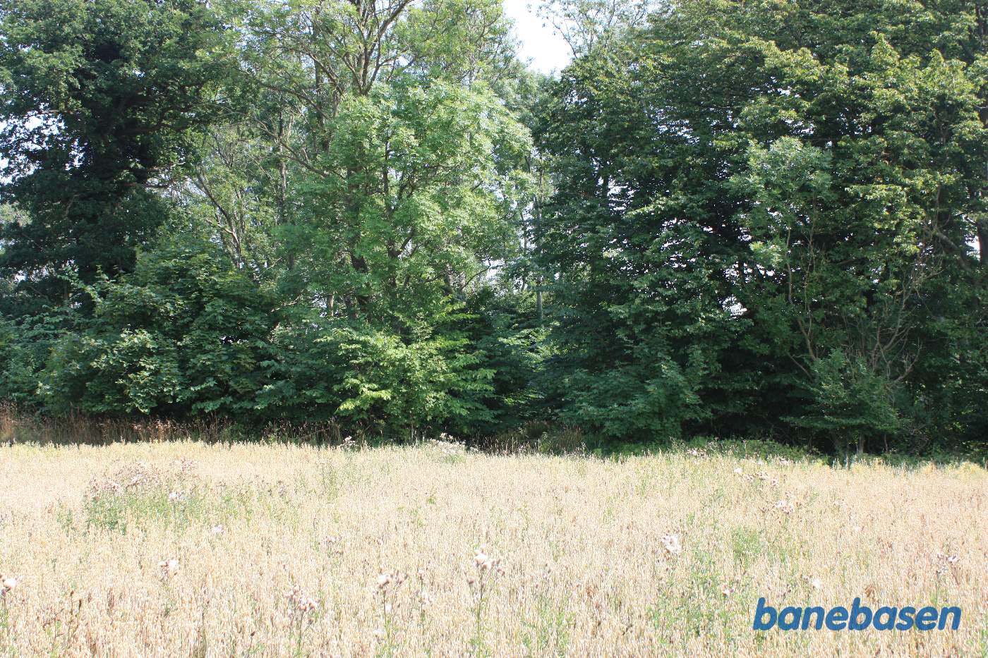 Vi er kommet ud på marken og kigger på Dynddalen i retning mod Rønne Vi er kommet ud på marken og kigger på Dynddalen i retning mod Rønne