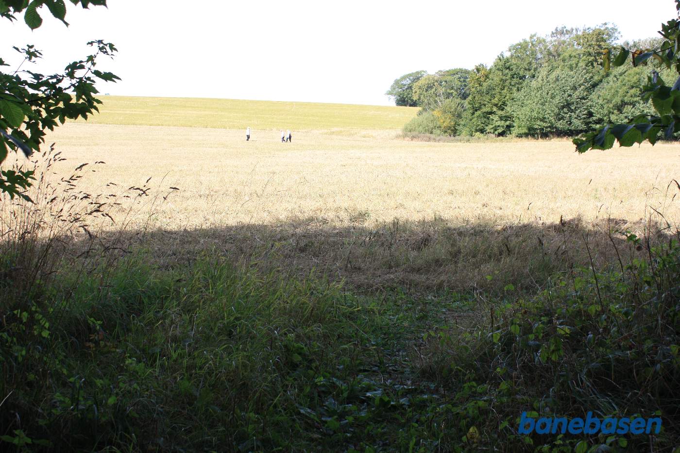 Vi er kommet ud af Dynddalen i retning mod Sandvig. Banen gik i en blød bue mod højre og ind mellem træerne lige overfor, man kan se en slags sti mellem træerne Vi er kommet ud af Dynddalen i retning mod Sandvig. Banen gik i en blød bue mod højre og ind mellem træerne lige overfor, man kan se en slags sti mellem træerne