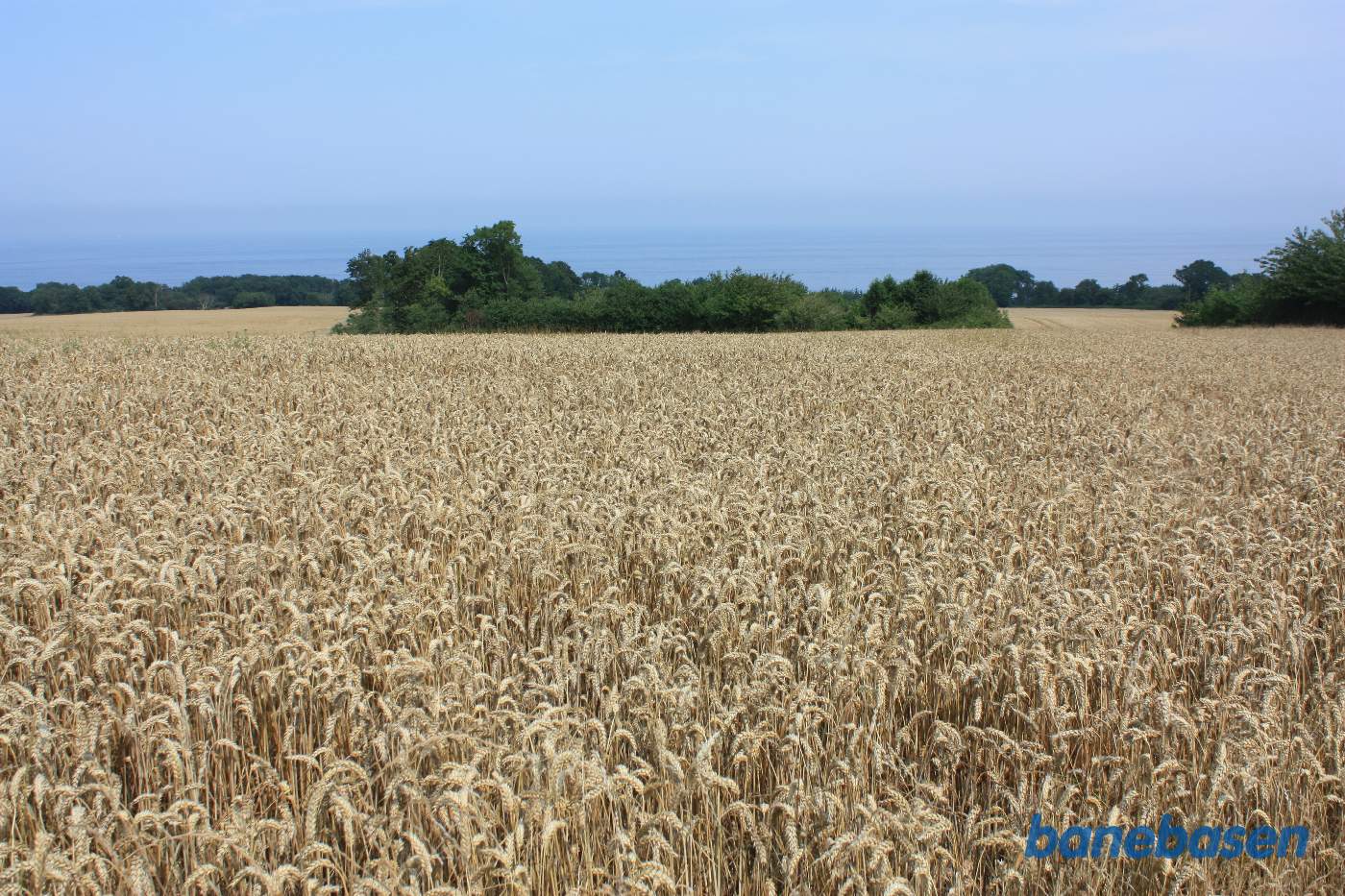 Vi er ved Bådstadgård. Vi står på banens tracé og kigger ud over Østersøen. Sandvig til venstre og Rønne til højre Vi er ved Bådstadgård. Vi står på banens tracé og kigger ud over Østersøen. Sandvig til venstre og Rønne til højre