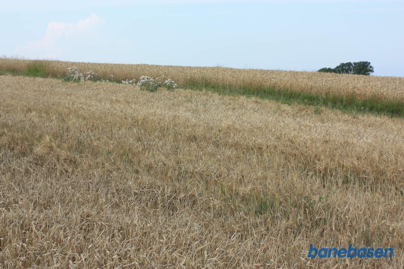 Vi er ved Bådstadgård. Vi står på banens tracé og kigger mod Sandvig Vi er ved Bådstadgård. Vi står på banens tracé og kigger mod Sandvig