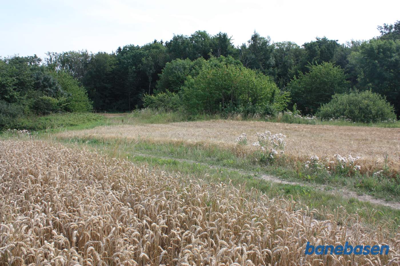 Vi har lige passeret Bådstadgård og kigger mod Rønne Vi har lige passeret Bådstadgård og kigger mod Rønne