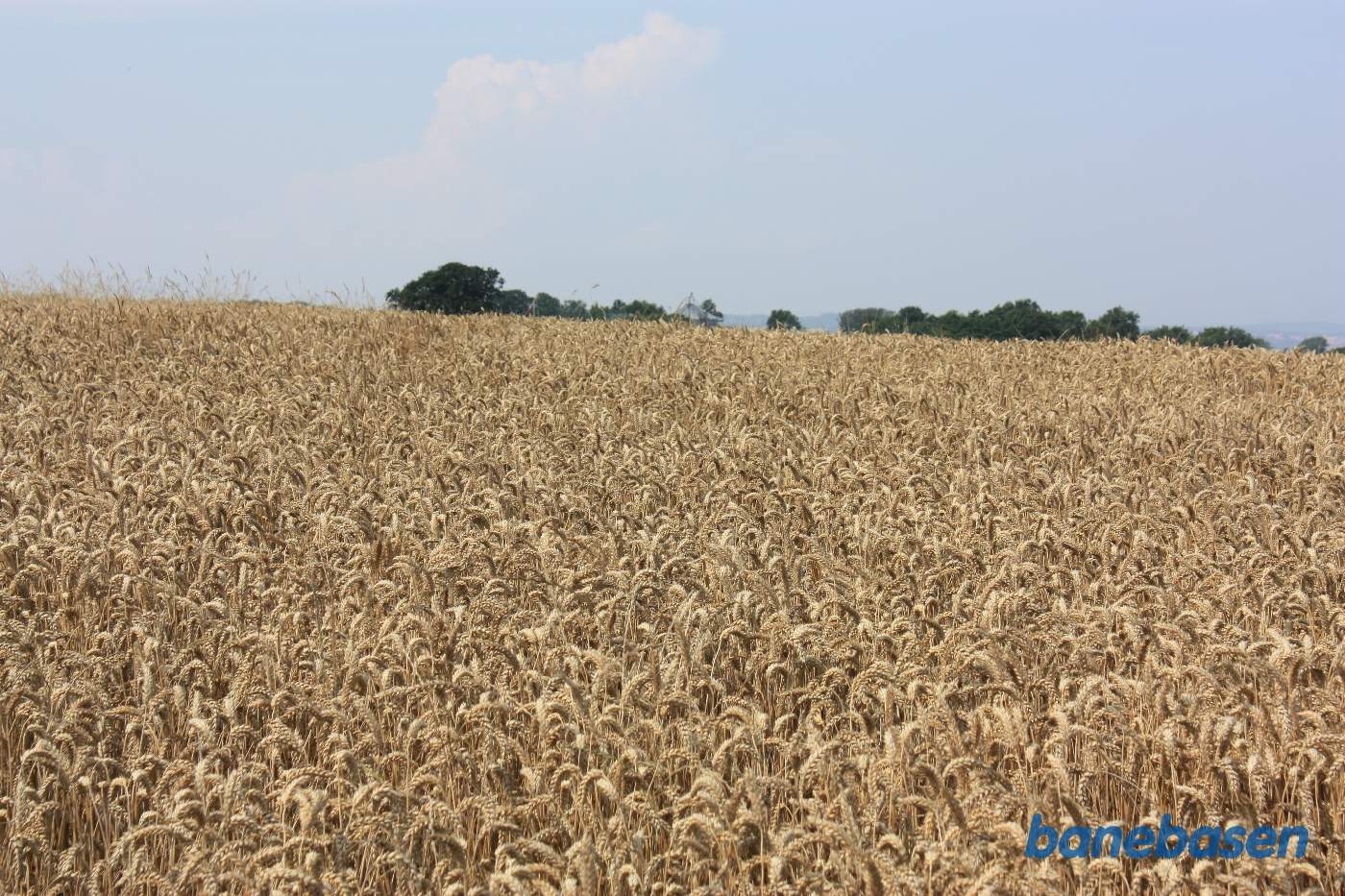Vi har lige passeret Bådstadgård og kigger mod Sandvig. Banens udgravning er fyldt op med jord Vi har lige passeret Bådstadgård og kigger mod Sandvig. Banens udgravning er fyldt op med jord