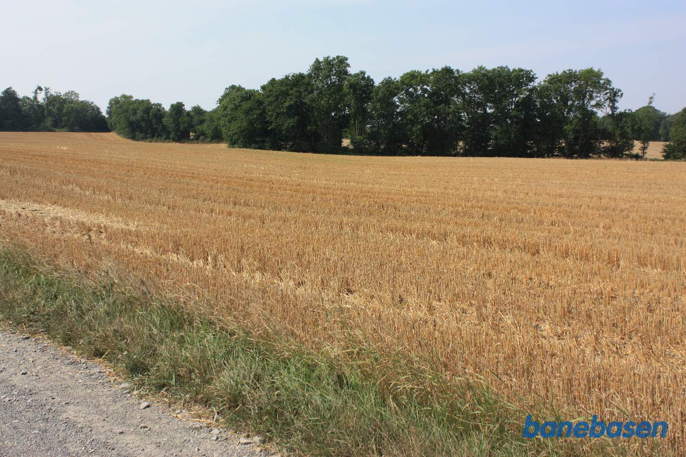Vi er på Røvej og kigger mod Sandvig. Vi kan se hullet i trærækken overfor Vi er på Røvej og kigger mod Sandvig. Vi kan se hullet i trærækken overfor
